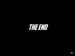THE END 
