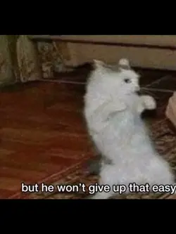 Eminem cats