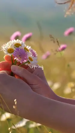 Spring Bloom