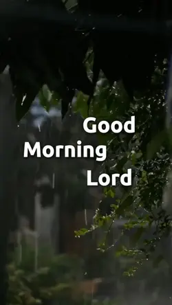 Good morning Lord