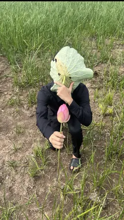 😹