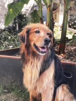 Ma raison de vivre