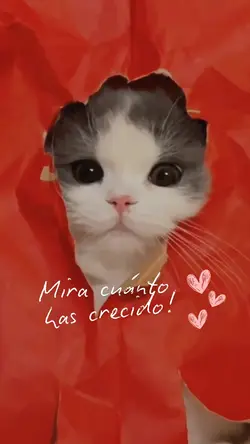 Solo un segundo...