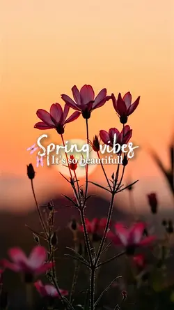 Spring Vibes 