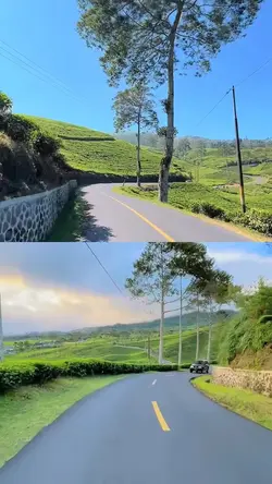 1 layout 2 video