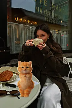 dance cat kicaumania