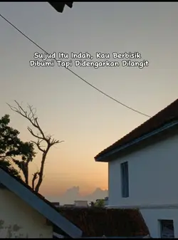 1 Foto