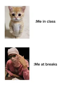 Me in school meme