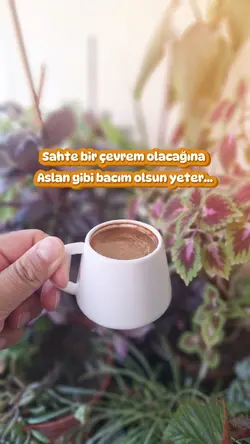 Bacım da Bacım 