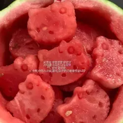 키티  음식 사진 나눔