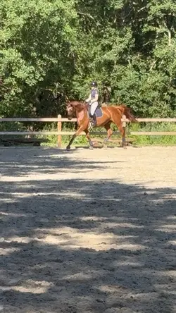 Biertornado