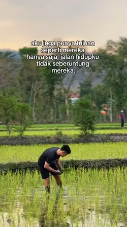 story