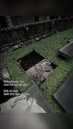 caption + màu