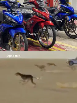 TEMPLATE REMPIT