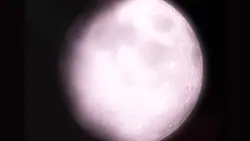 ꒷꒦ あ い 脳 ゆ ｰ ꒷꒦