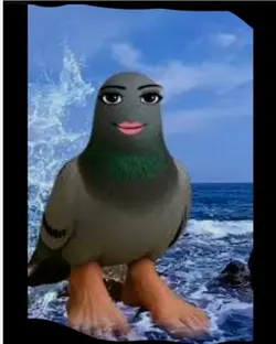 75