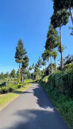road trip