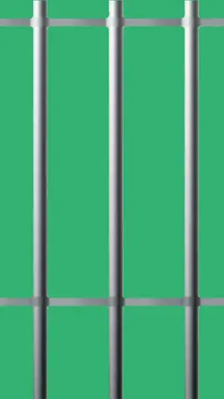 jail bars 