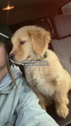 Dog Mother's Day <3