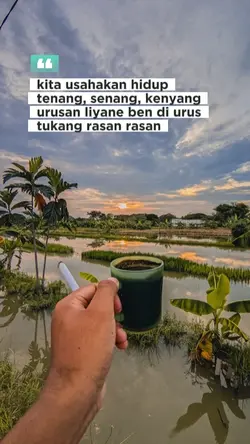 hidup tenang 