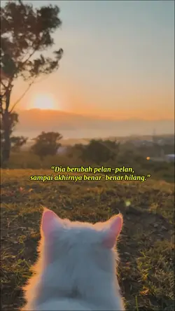 Hilang perlahan