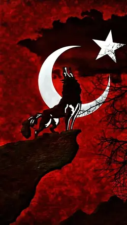 Altaylar'dan Tunaya