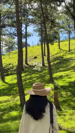 Mini vlog