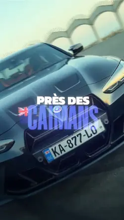 près des caïman 