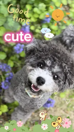 cute❤️Good day 4clip