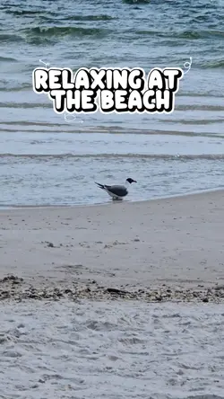 At the Beach