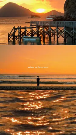 as free as the ocean