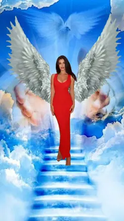 ASAS DE ANJO 
