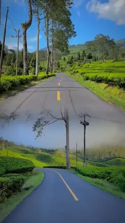 2 video 1 layar