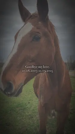 Goodbye