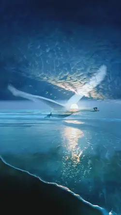 SWAN