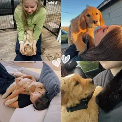 me and dog grid