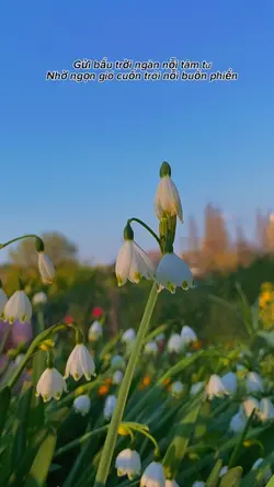 Edit video 