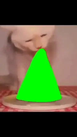 Cat eat watermelon