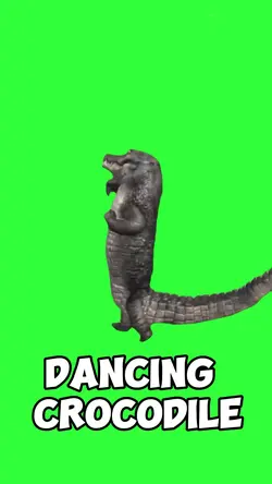 Dancing Crocodile