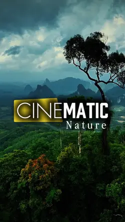 Cinematic Nature 