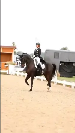 dressage edittt