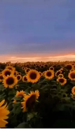 Atmosfera naturale 