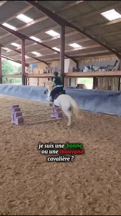 je suis cavalière