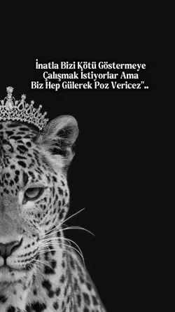 Yeni şablon