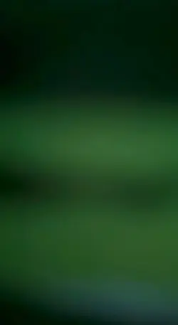 falls