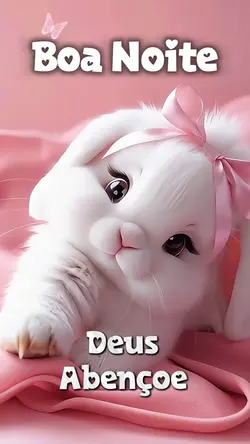 Boa Noite Carinhoso