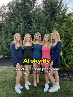 Al sky fly
