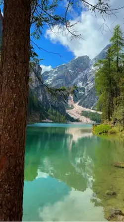 Minivlog nature