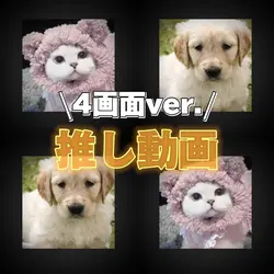 ベランダ 4画面ver.!
