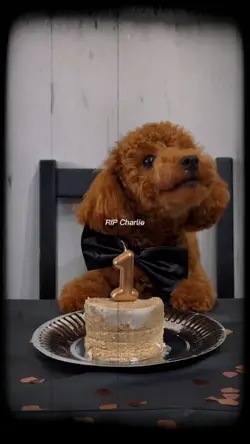 RIP CHARLIE